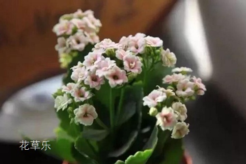 桃仁图熟妇人妻系列aⅴ无码专区友真希，揭秘古老智慧的现代启示